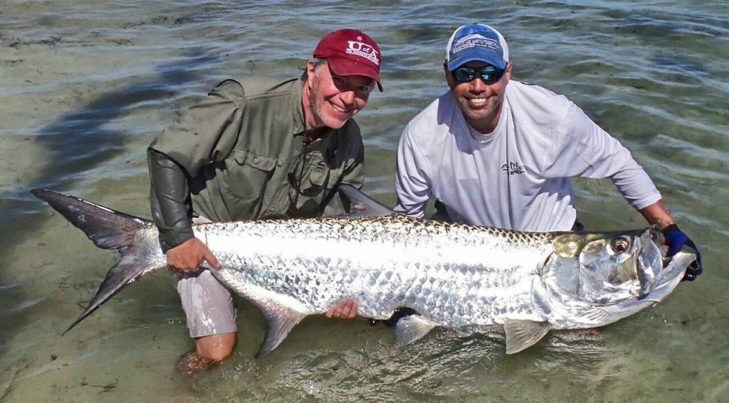In the water with the Tarpon