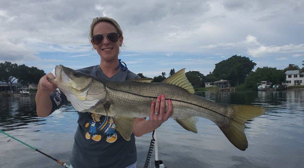 Snook abound in the waters around St Petersburg